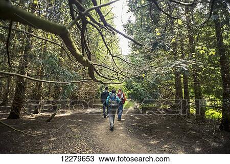 Stock Image - Walking in the english countryside; Tring, Borough of Dacorum, Hertfordshire, England. Fotosearch