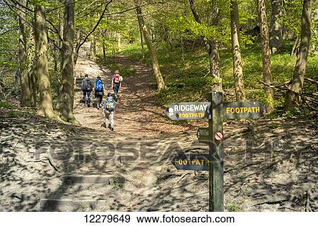 Stock Photo - Walking in the english countryside; Tring, Borough of Dacorum, Hertfordshire, England. Fotosearch