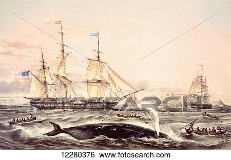 Whaling off the Cape of Good Hope in the mid 19th century. After a lithograph by French artist Louis Le Breton, 1818 - 1866. View Large Photo Image Stock Photograph - Whaling off the Cape of Good Hope in the mid 19th century. After a lithograph by French artist Louis Le Breton, 1818 - 1866.. Fotosearch