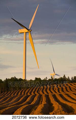 Wind Turbines And Newly Planted Potato Field, West Cape, Prince Edward Island View Large Photo Image Stock Photograph - Wind Turbines And Newly Planted Potato Field, West Cape, Prince Edward Island. Fotosearch