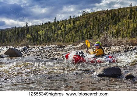 Woman packrafter negotiating a tributary of the Charley River in summertime, splashing through the last of a rapid, YukonCharley Rivers National Preserve; Alaska, United States of America View Large Photo Image Stock Photograph - Woman packrafter negotiating a tributary of the Charley River in summertime, splashing through the last of a rapid, YukonCharley Rivers National Preserve; Alaska, United States of America. Fotosearch
