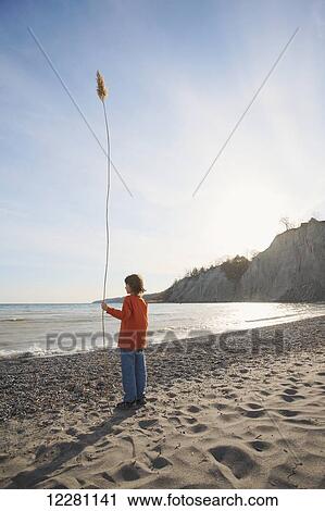 Stock Image - Young boy holding tall grass at edge of lake in front of Scarborough Bluffs; Toronto, Ontario, Canada. Fotosearch
