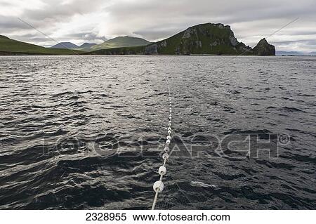 A Gillnet Catching Salmon As It Stretches Towards Cape Pankoff On Unimak Island; Alaska, United States Of America View Large Photo Image Stock Photography - A Gillnet Catching Salmon As It Stretches Towards Cape Pankoff On Unimak Island; Alaska, United States Of America. Fotosearch