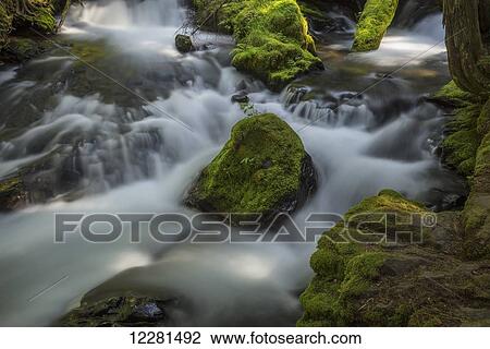 Stock Image - A portion of Panther Creek; Washington, United States of America. Fotosearch