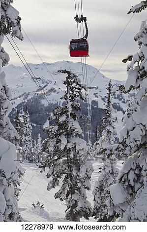 A snowy day on Blackcomb Mountain in the area of a ski run called Bark Sandwich with the Peak2Peak Gondola overhead; Whistler, British Columbia, Canada View Large Photo Image Stock Photo - A snowy day on Blackcomb Mountain in the area of a ski run called Bark Sandwich with the Peak2Peak Gondola overhead; Whistler, British Columbia, Canada. Fotosearch