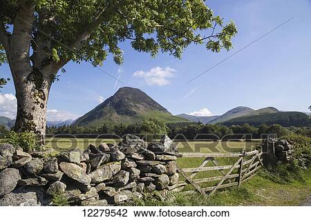 Stock Image - A stone wall and wooden gate with a peaked mountain in the background; Cumbria, England. Fotosearch
