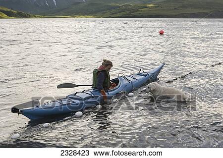 Stock Image - A Woman Tending Her Subsistence Salmon Net By Kayak At A Summer Fish Camp On The East End Of Unimak Island On The Edge Of Isanotski Strait; False Pass, Southwest Alaska, United States Of America. Fotosearch