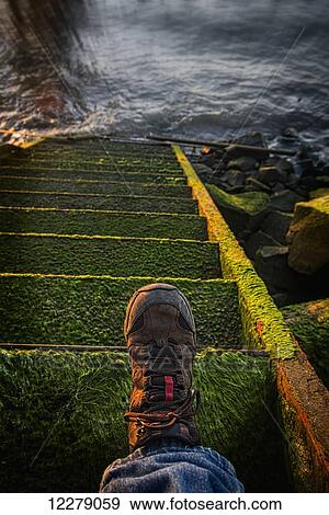 An old stairway on the Astoria riverfront that leads into the water; Astoria, Oregon, United States of America View Large Photo Image Stock Photo - An old stairway on the Astoria riverfront that leads into the water; Astoria, Oregon, United States of America. Fotosearch
