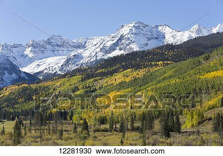 Autumn colours, off Road 7, Sneffels Range, near Ouray; Colorado, United States of America View Large Photo Image Stock Image - Autumn colours, off Road 7, Sneffels Range, near Ouray; Colorado, United States of America. Fotosearch
