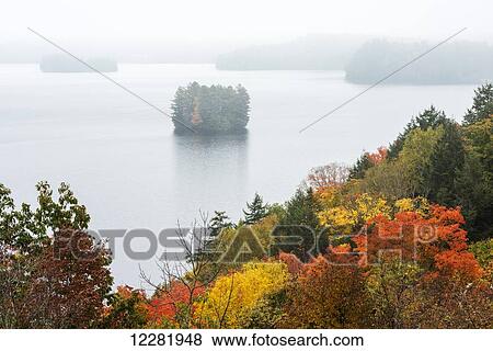 Stock Photo - Bright colours of trees in autumn and distant misty islands in Fairy Lake; Huntsville, Ontario, Canada. Fotosearch