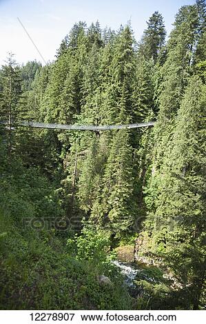 Stock Photo - Capilano Suspension Bridge; Vancouver, British Columbia, Canada. Fotosearch