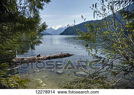 Picture - Cheakamus Lake, near Whistler; British Columbia, Canada. Fotosearch