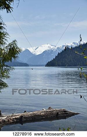 Cheakamus Lake, near Whistler; British Columbia, Canada View Large Photo Image Stock Photograph - Cheakamus Lake, near Whistler; British Columbia, Canada. Fotosearch