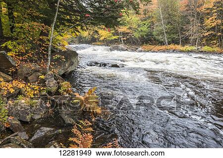 Colourful autumn forest on a riverside of rapid Oxtongue river; Muskoka, Ontario, Canada View Large Photo Image Stock Photo - Colourful autumn forest on a riverside of rapid Oxtongue river; Muskoka, Ontario, Canada. Fotosearch