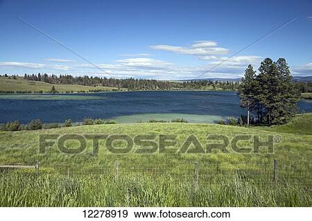 Courtney Lake alongside the Okanagan Connector (Highway 97C) between Kelowna and Merritt; British Columbia, Canada View Large Photo Image Stock Photo - Courtney Lake alongside the Okanagan Connector (Highway 97C) between Kelowna and Merritt; British Columbia, Canada. Fotosearch
