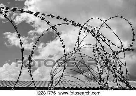 Detail of barbed wire in black and white; Soweto, Gautang, South Africa View Large Photo Image Stock Photograph - Detail of barbed wire in black and white; Soweto, Gautang, South Africa. Fotosearch