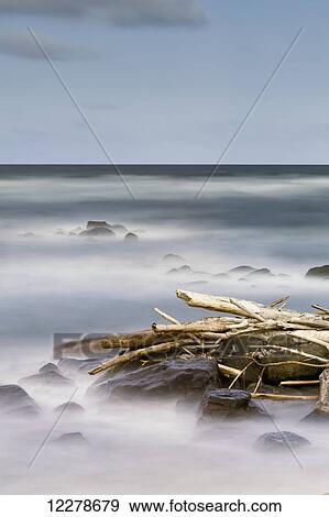 Driftwood and rocks along the coast of Lydgate Beach Park; Lydgate, Kauai, Hawaii, United States of America View Large Photo Image Stock Photo - Driftwood and rocks along the coast of Lydgate Beach Park; Lydgate, Kauai, Hawaii, United States of America. Fotosearch