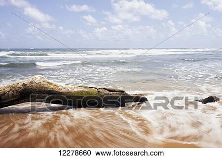 Stock Image - Driftwood and rocks at Lydgate Beach Park; Lydgate, Kauai, Hawaii, United States of America. Fotosearch
