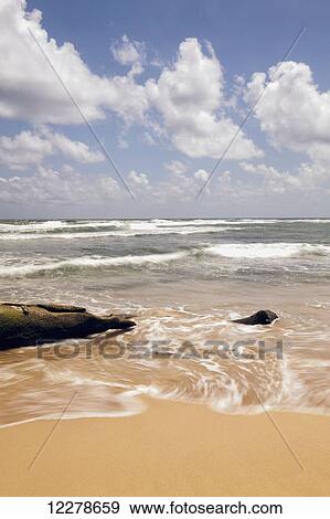 Driftwood and rocks at Lydgate Beach Park; Lydgate, Kauai, Hawaii, United States of America View Large Photo Image Stock Photo - Driftwood and rocks at Lydgate Beach Park; Lydgate, Kauai, Hawaii, United States of America. Fotosearch