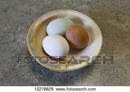 Farm fresh eggs; Chilliwack, British Columbia, Canada View Large Photo Image Stock Photo - Farm fresh eggs; Chilliwack, British Columbia, Canada. Fotosearch