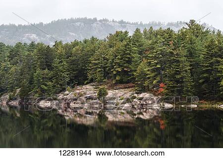 Green coniferous forest on a calm lake shore with red rock geological formations; Killarney, Ontario, Canada View Large Photo Image Picture - Green coniferous forest on a calm lake shore with red rock geological formations; Killarney, Ontario, Canada. Fotosearch