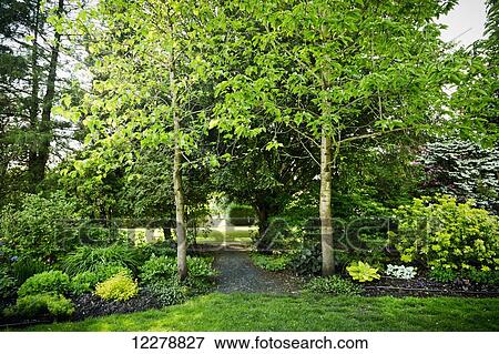 Gwynne Vaughan Public Park; Chilliwack, British Columbia, Canada View Large Photo Image Stock Photo - Gwynne Vaughan Public Park; Chilliwack, British Columbia, Canada. Fotosearch