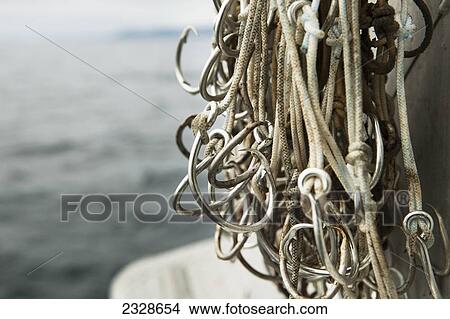 Halibut Hooks Awaiting Bait On A Commercial Longline Fishing Vessel; Southwest Alaska, United States Of America View Large Photo Image Picture - Halibut Hooks Awaiting Bait On A Commercial Longline Fishing Vessel; Southwest Alaska, United States Of America. Fotosearch