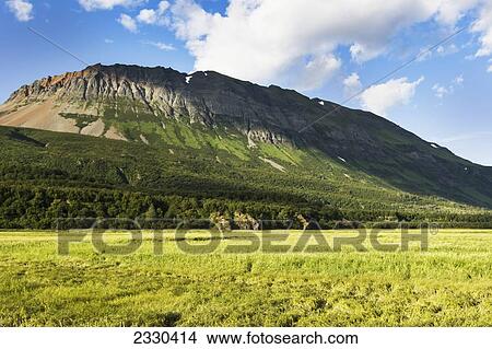 Picture - Hallo Bay, Katmai Naional Park, Alaska Peninsula; Southwest Alaska, United States Of America. Fotosearch