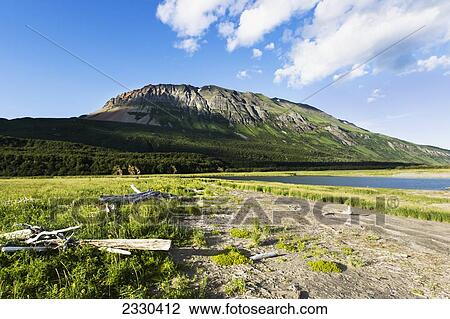 Hallo Bay, Katmai Naional Park, Alaska Peninsula; Southwest Alaska, United States Of America View Large Photo Image Stock Image - Hallo Bay, Katmai Naional Park, Alaska Peninsula; Southwest Alaska, United States Of America. Fotosearch