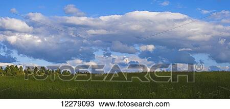 Hay field in the early evening; Waterloo, Quebec, Canada View Large Photo Image Stock Image - Hay field in the early evening; Waterloo, Quebec, Canada. Fotosearch