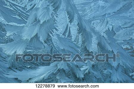 Stock Photo - Ice patterns formed on glass after a hard frost; Nelson, Wakefield, New Zealand. Fotosearch