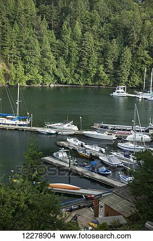 Late evening sunshine on Snug Cove harbour; Bowen Island, British Columbia, Canada View Large Photo Image Picture - Late evening sunshine on Snug Cove harbour; Bowen Island, British Columbia, Canada. Fotosearch