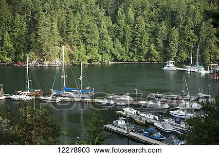 Stock Image - Late evening sunshine on Snug Cove harbour; Bowen Island, British Columbia, Canada. Fotosearch