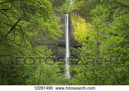 Stock Image - Latourell Falls, Columbia River Gorge; Oregon, United States of America. Fotosearch