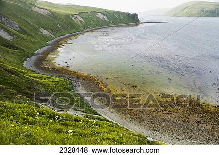 Low Tide Along The Coastline In The Isanotski Strait; False Pass, Alaska, United States Of America View Large Photo Image Stock Photo - Low Tide Along The Coastline In The Isanotski Strait; False Pass, Alaska, United States Of America. Fotosearch