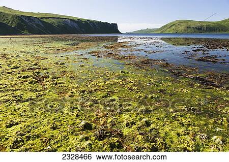 Stock Photograph - Low Tide In Isanotski Strait; False Pass, Alaska, United States Of America. Fotosearch