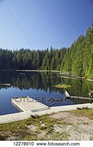 Morning light on Cat Lake, just north of Squamish; British Columbia, Canada View Large Photo Image Stock Image - Morning light on Cat Lake, just north of Squamish; British Columbia, Canada. Fotosearch