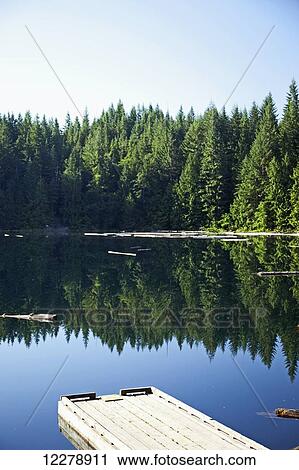 Morning light on Cat Lake, just north of Squamish; British Columbia, Canada View Large Photo Image Stock Image - Morning light on Cat Lake, just north of Squamish; British Columbia, Canada. Fotosearch