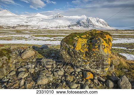 Stock Image - Moss Covered Rocks And Snow Covered Mountains Along The Southern Coast; Iceland. Fotosearch