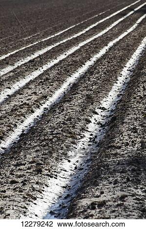 Stock Image - Muddy, bedded crop land in early spring, with moisture soaking into the beds; England, Arkansas, United States of America. Fotosearch