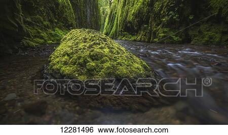 Stock Photograph - Oneonta Canyon, Columbia River Gorge; Oregon, United States of America. Fotosearch