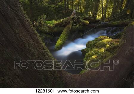 Stock Image - Panther Creek; Washington, United States of America. Fotosearch