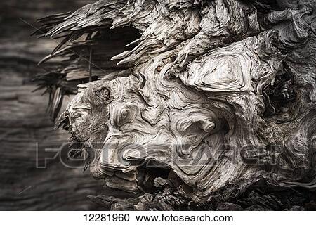 Patterns are found in the driftwood at Willapa Bay on the Washington Coast; Bay Center, Washington, United States of America View Large Photo Image Stock Image - Patterns are found in the driftwood at Willapa Bay on the Washington Coast; Bay Center, Washington, United States of America. Fotosearch