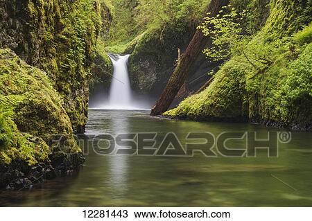 Punchbowl Falls; Oregon, United States of America View Large Photo Image Stock Image - Punchbowl Falls; Oregon, United States of America. Fotosearch