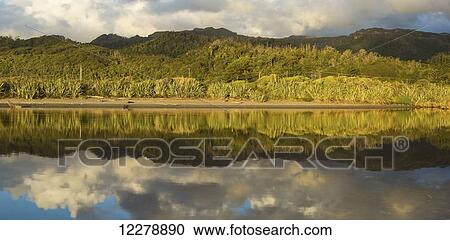 Reflections on a tidal creek at Rapahoe Beach at sunset; Rapahoe, New Zealand View Large Photo Image Stock Image - Reflections on a tidal creek at Rapahoe Beach at sunset; Rapahoe, New Zealand. Fotosearch