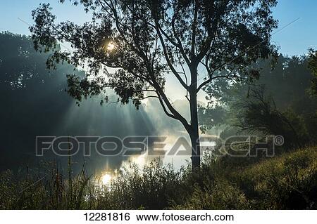 River at sunset; South Africa View Large Photo Image Stock Photograph - River at sunset; South Africa. Fotosearch