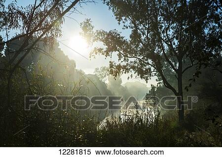 River at sunset; South Africa View Large Photo Image Stock Photography - River at sunset; South Africa. Fotosearch