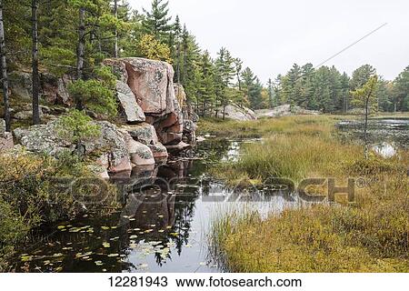 Rock lake shore with several green and multi-coloured trees in autumn; Killarney, Ontario, Canada View Large Photo Image Stock Image - Rock lake shore with several green and multi-coloured trees in autumn; Killarney, Ontario, Canada. Fotosearch