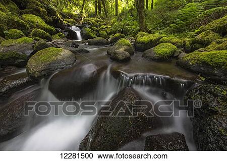 Ruckel Creek; Oregon, United States of America View Large Photo Image Stock Image - Ruckel Creek; Oregon, United States of America. Fotosearch