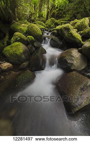 Ruckel Creek; Oregon, United States of America View Large Photo Image Stock Photo - Ruckel Creek; Oregon, United States of America. Fotosearch